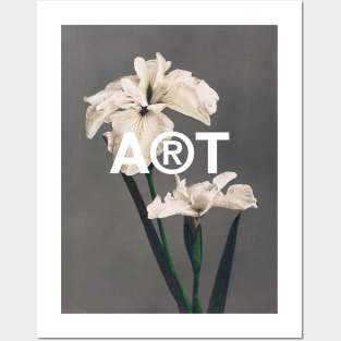 Iris still life vintage flowers Posters and Art